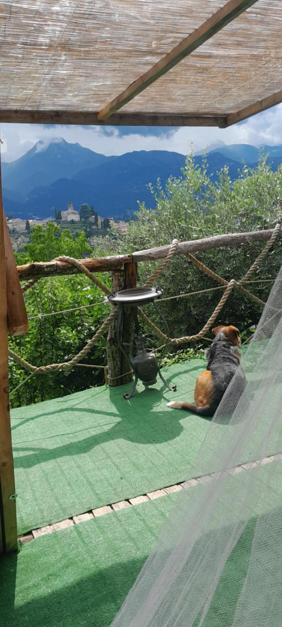 La Fatina Lodge Barga Exterior photo